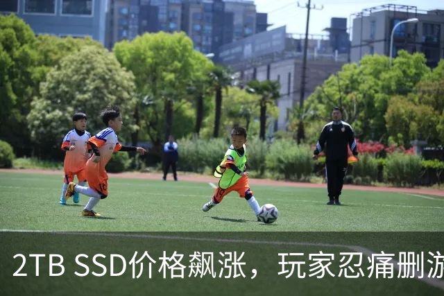 2TB SSD价格飙涨，玩家忍痛删游戏还是忍耐等待？